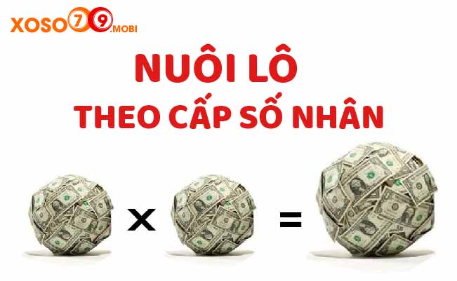 Nuôi lô theo cấp số nhân